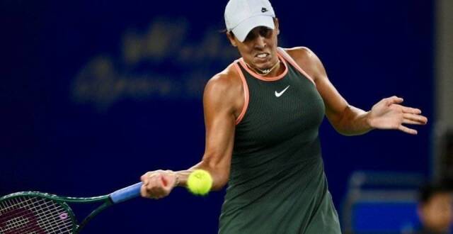 术和多样性 术和多样性